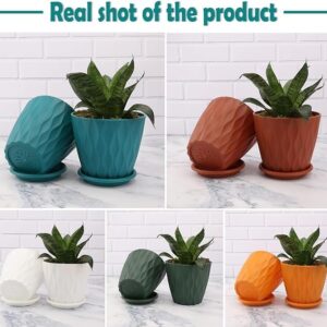 Home flower pots for home decoration